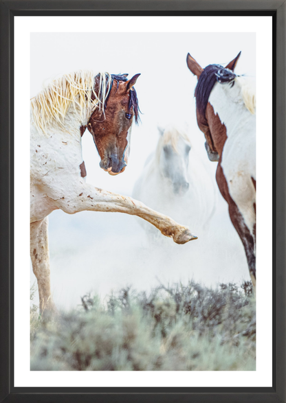 24"x36" / Black / Border