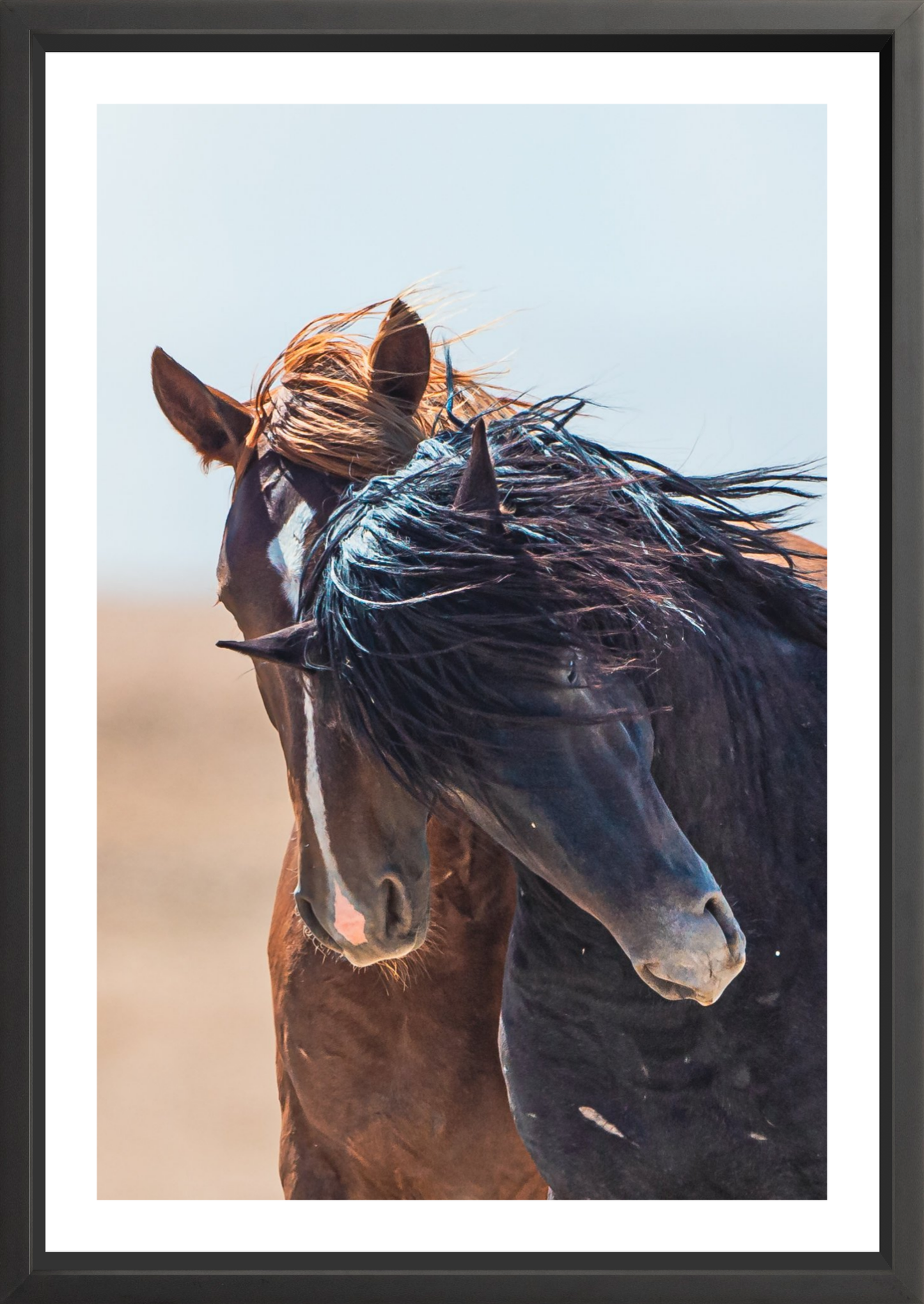 24"x36" / Black / Border