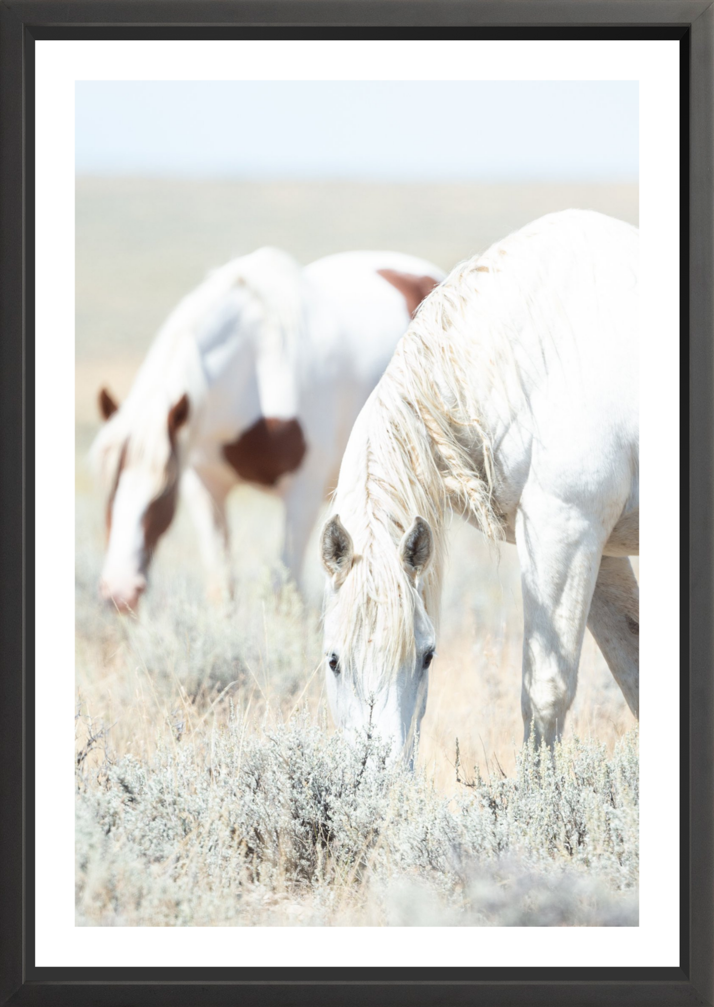 24"x36" / Black / Border