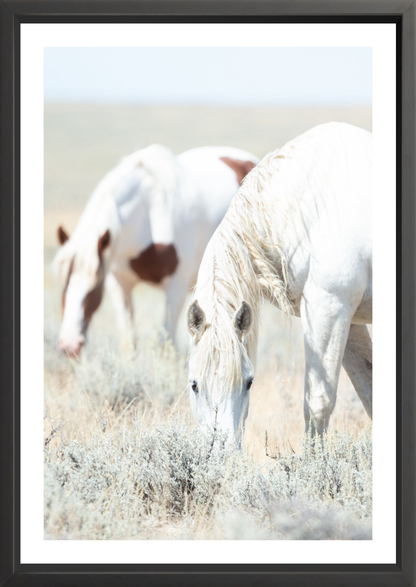 24"x36" / Black / Border