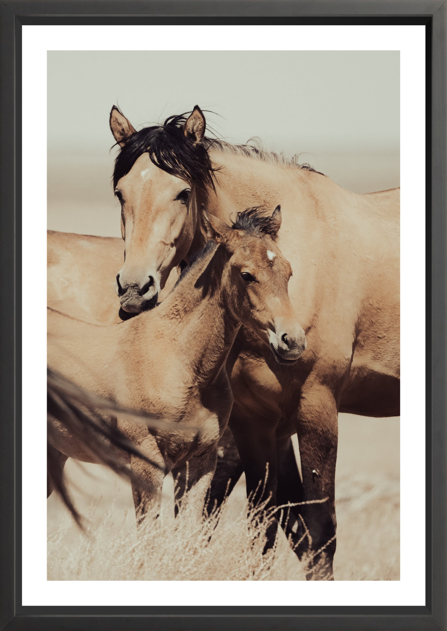 24"x36" / Black / Border
