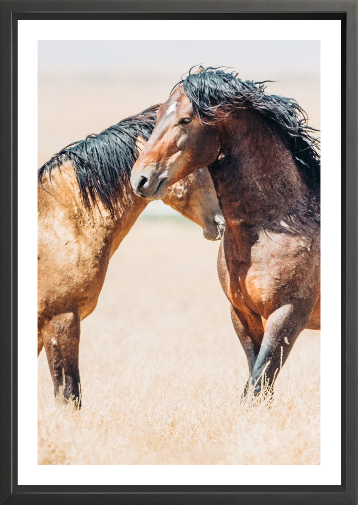 24"x36" / Black / Border
