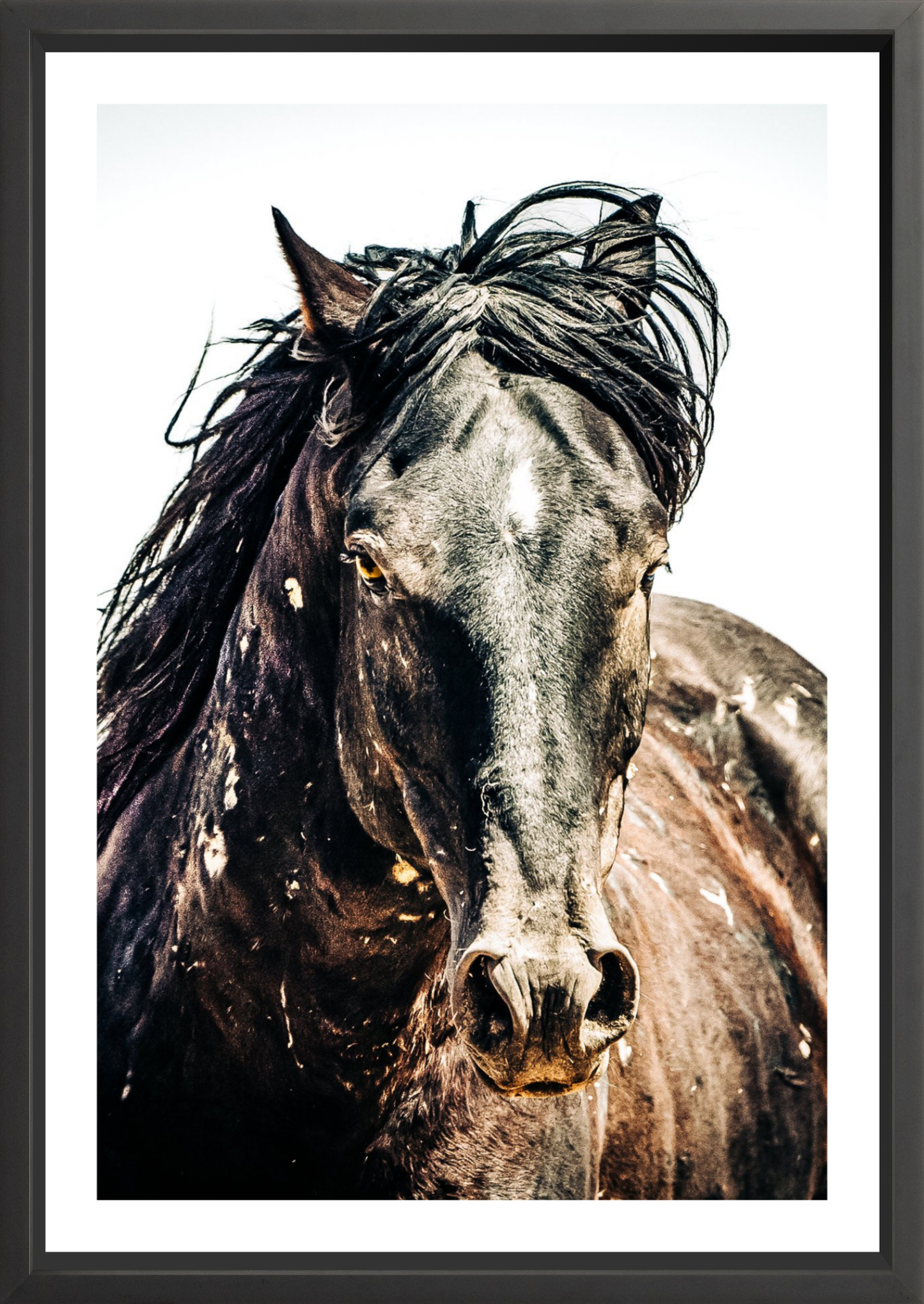 24"x36" / Black / Border