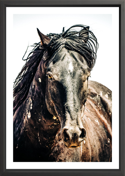 24"x36" / Black / Border