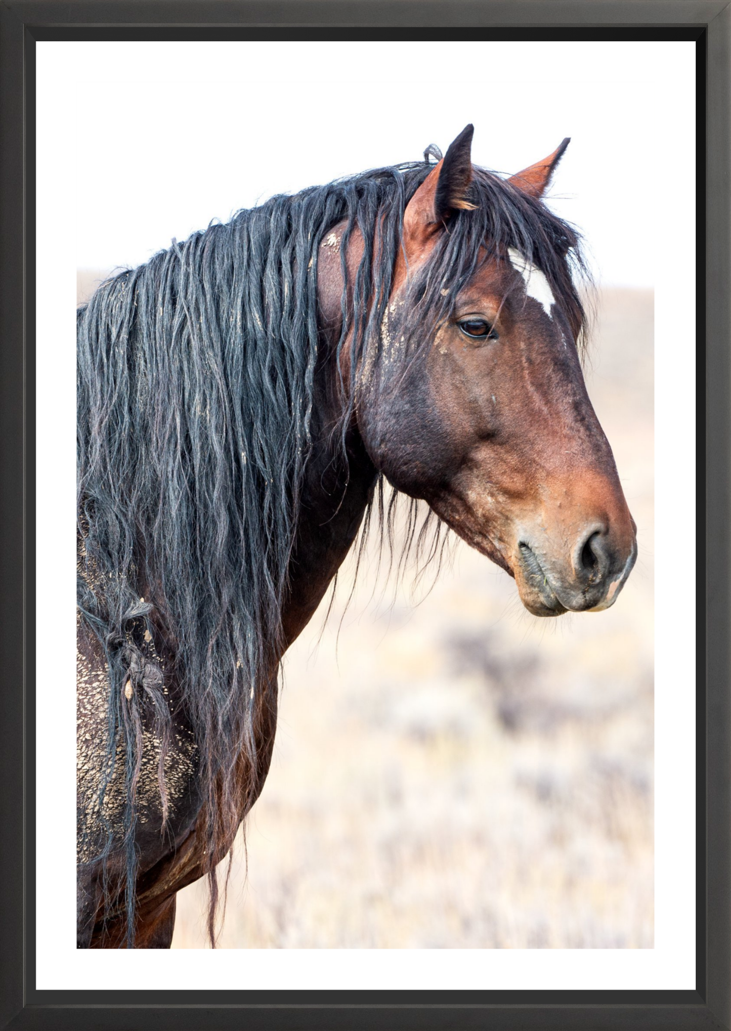 24"x36" / Black / Border