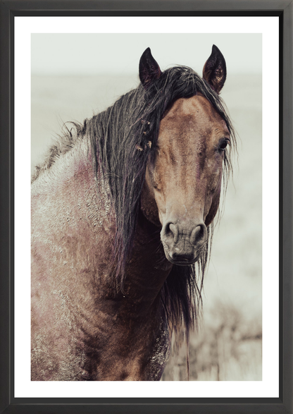 24"x36" / Black / Border