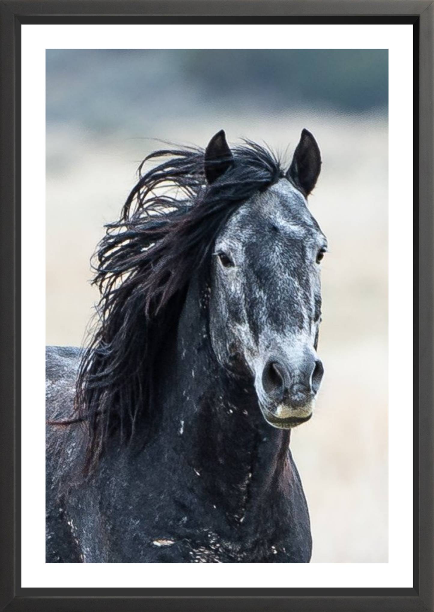 24"x36" / Black / Border