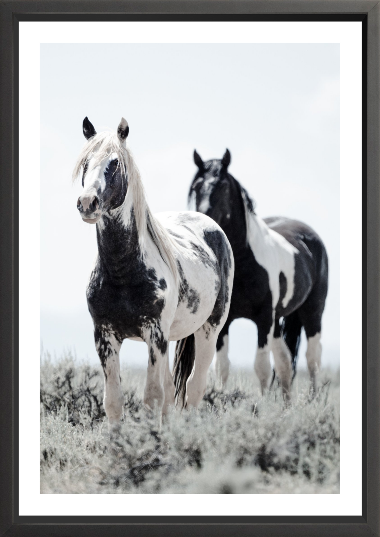 24"x36" / Black / Border