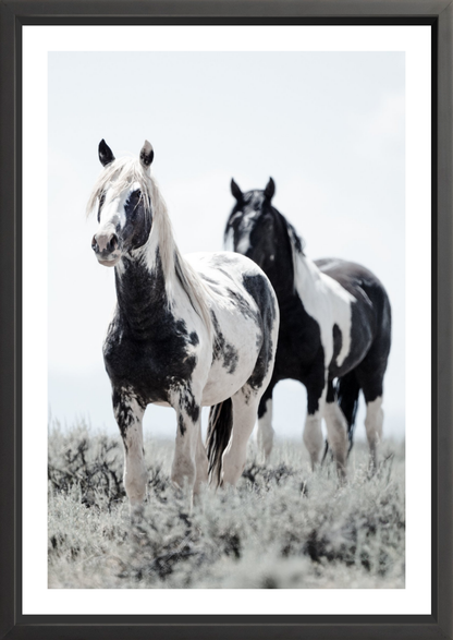24"x36" / Black / Border