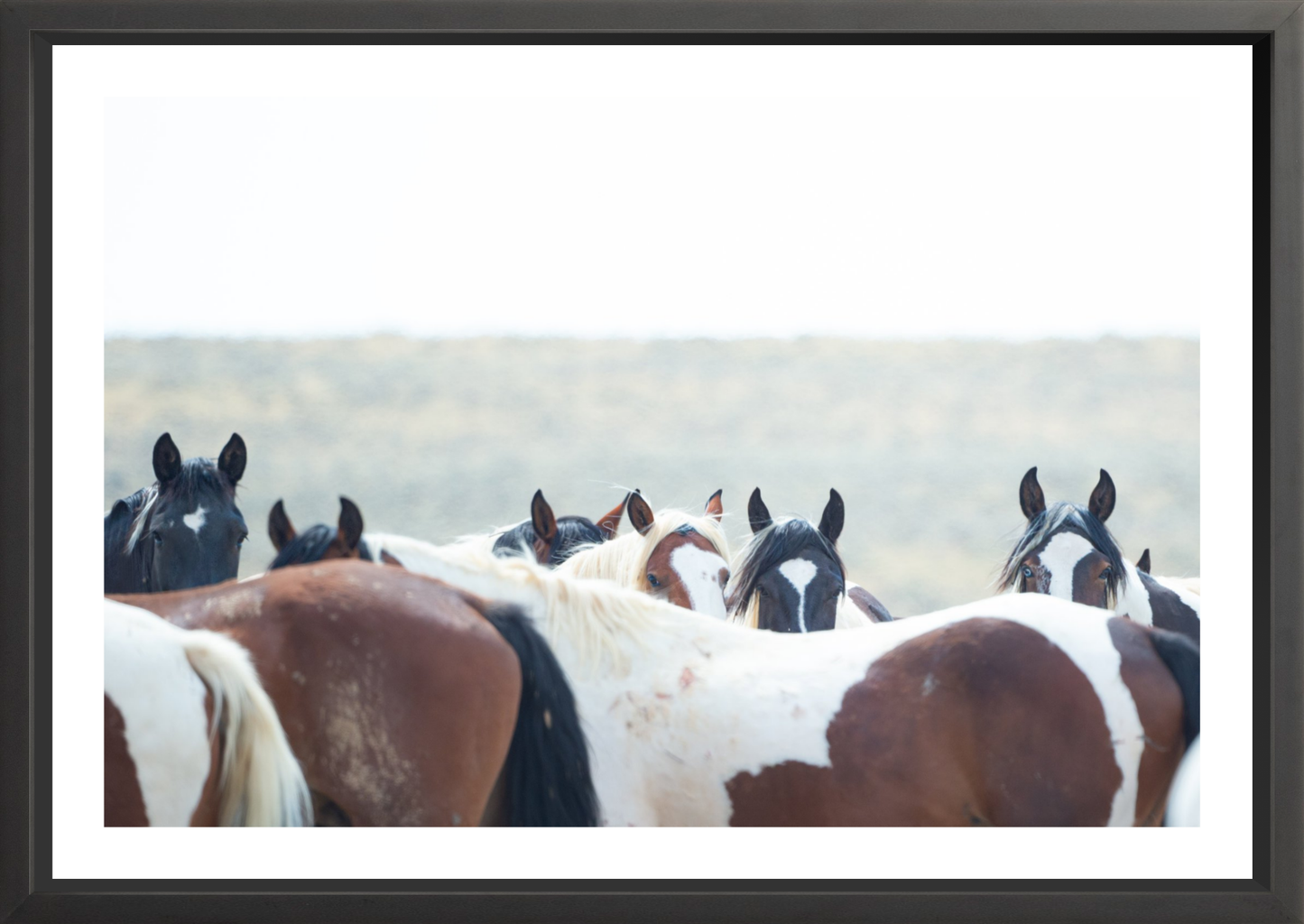 36" x 24" / Black / Border