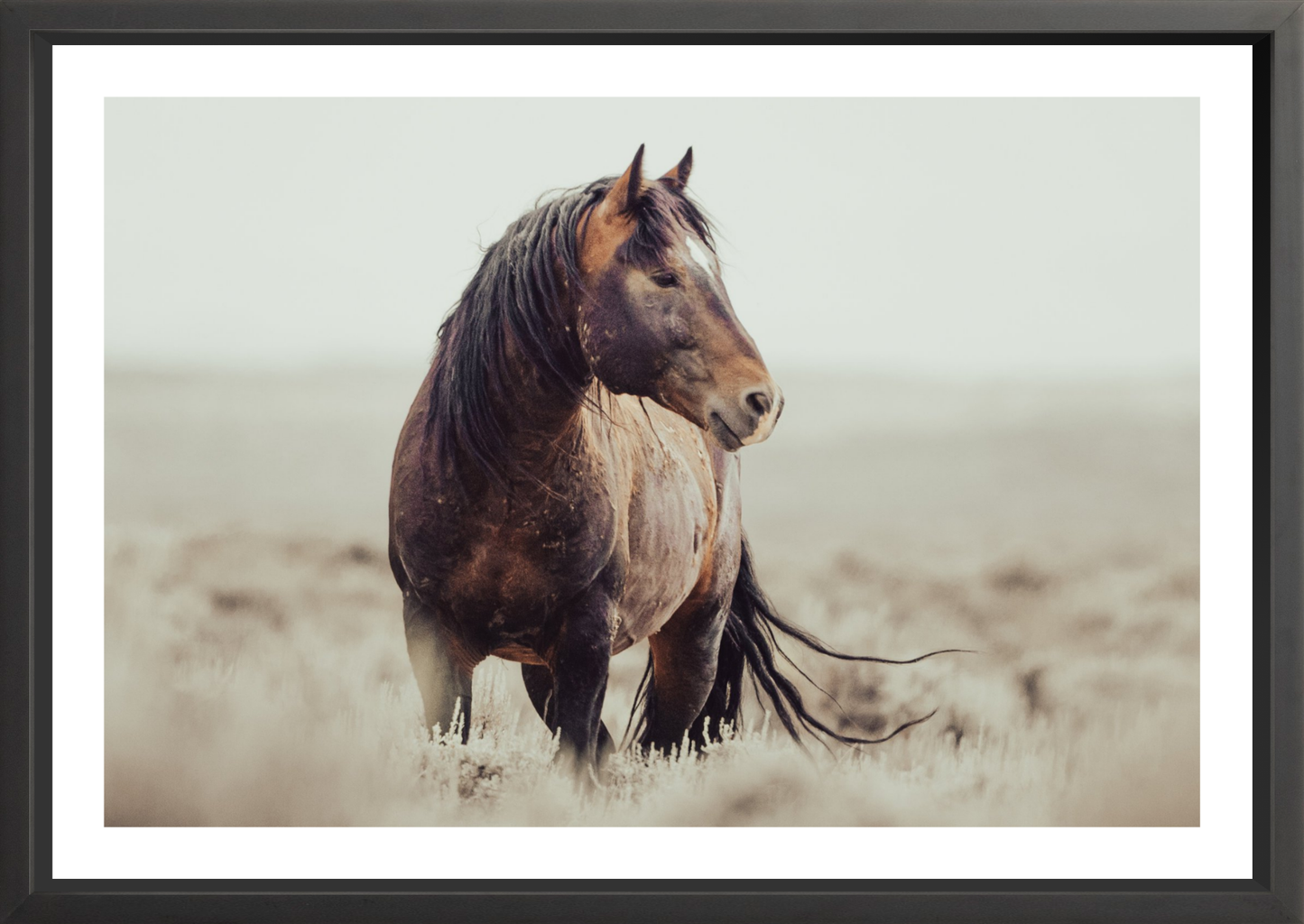 36"x24" / Black / Border