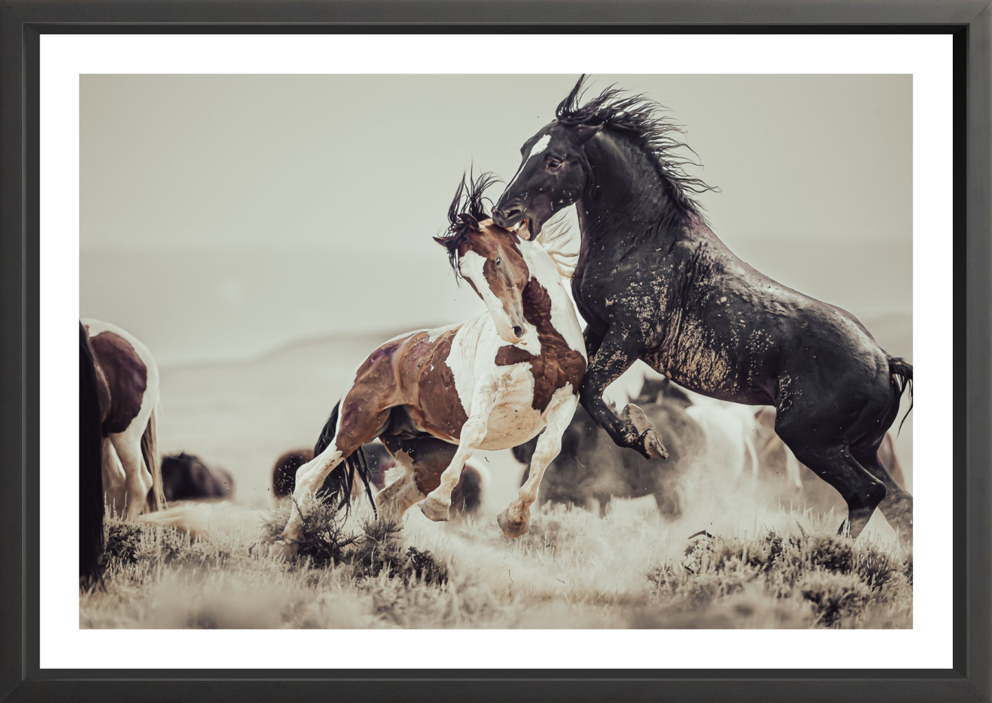 36"x24" / Black / Border