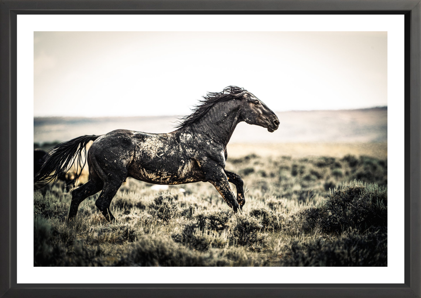 36"x24 / Black / Border