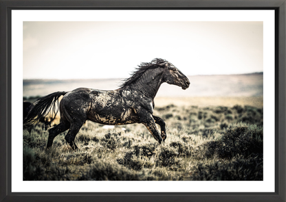 36"x24 / Black / Border