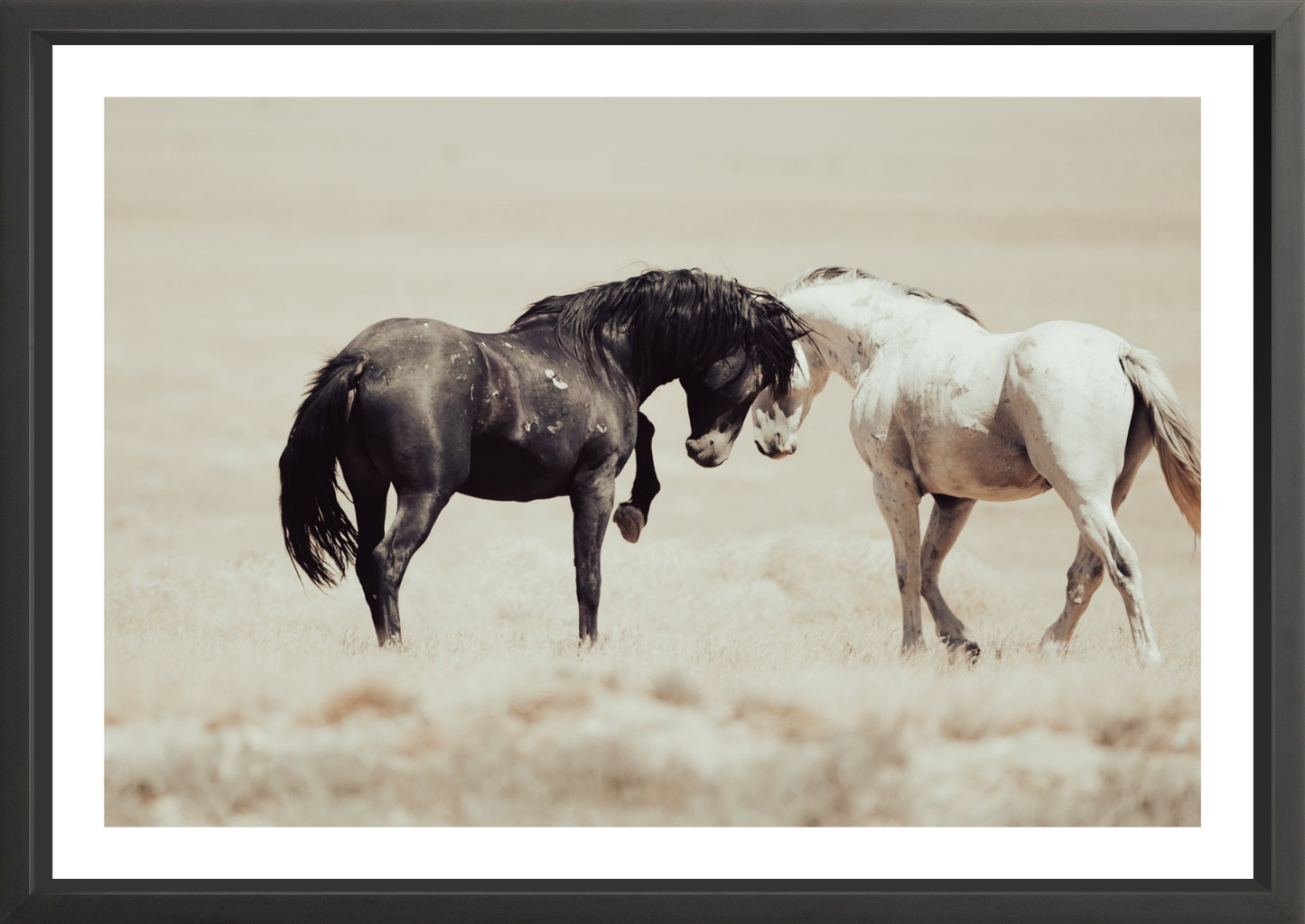 36"x24" / Black / Border