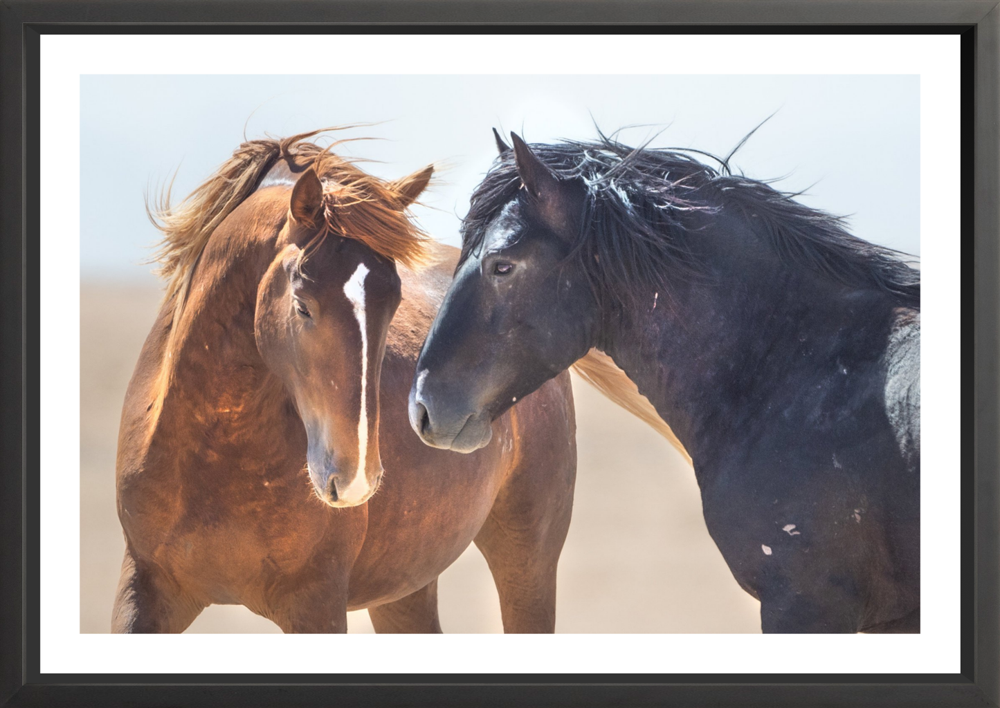 36"x24" / Black / Border