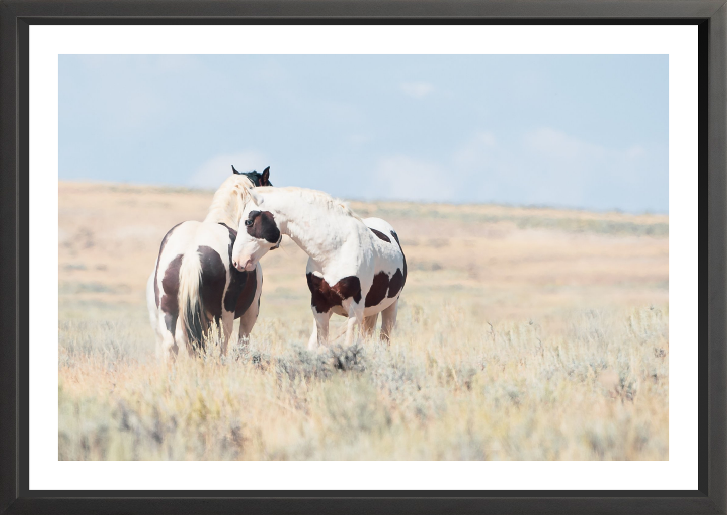 36"x24" / Black / Border