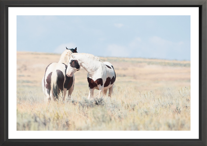 36"x24" / Black / Border