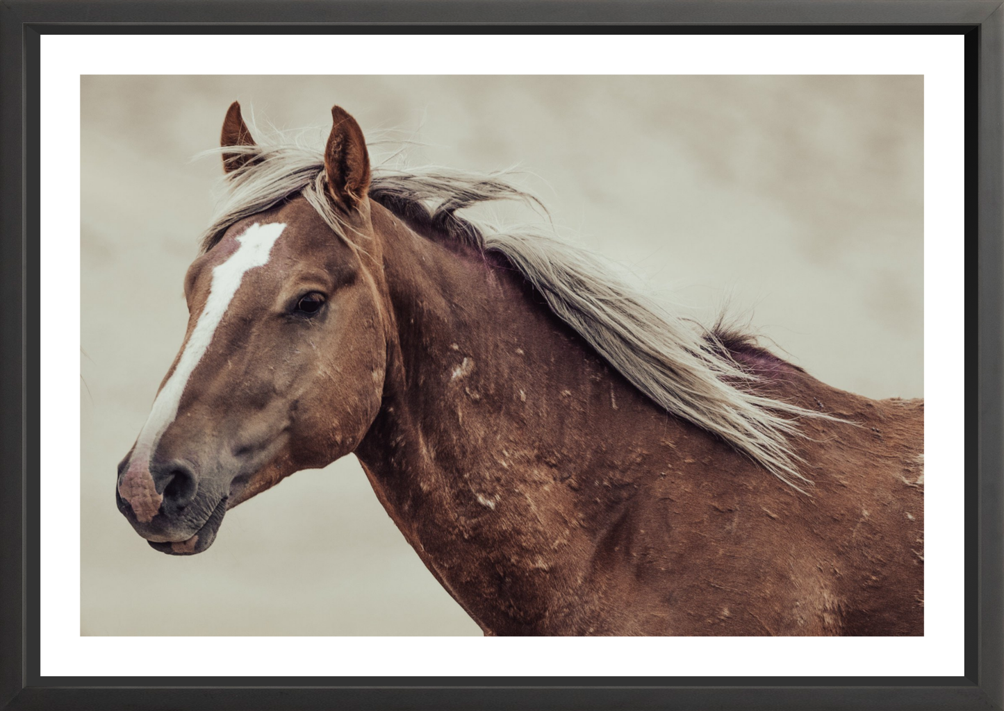 36"x24" / Black / Border