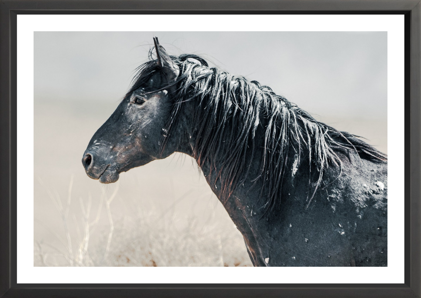 36"x24" / Black / Border