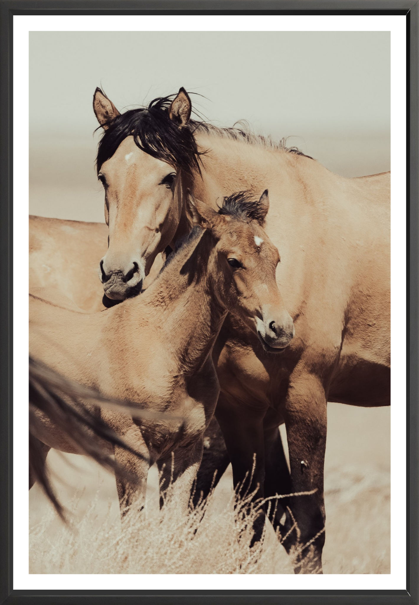 40"x60" / Black / Border
