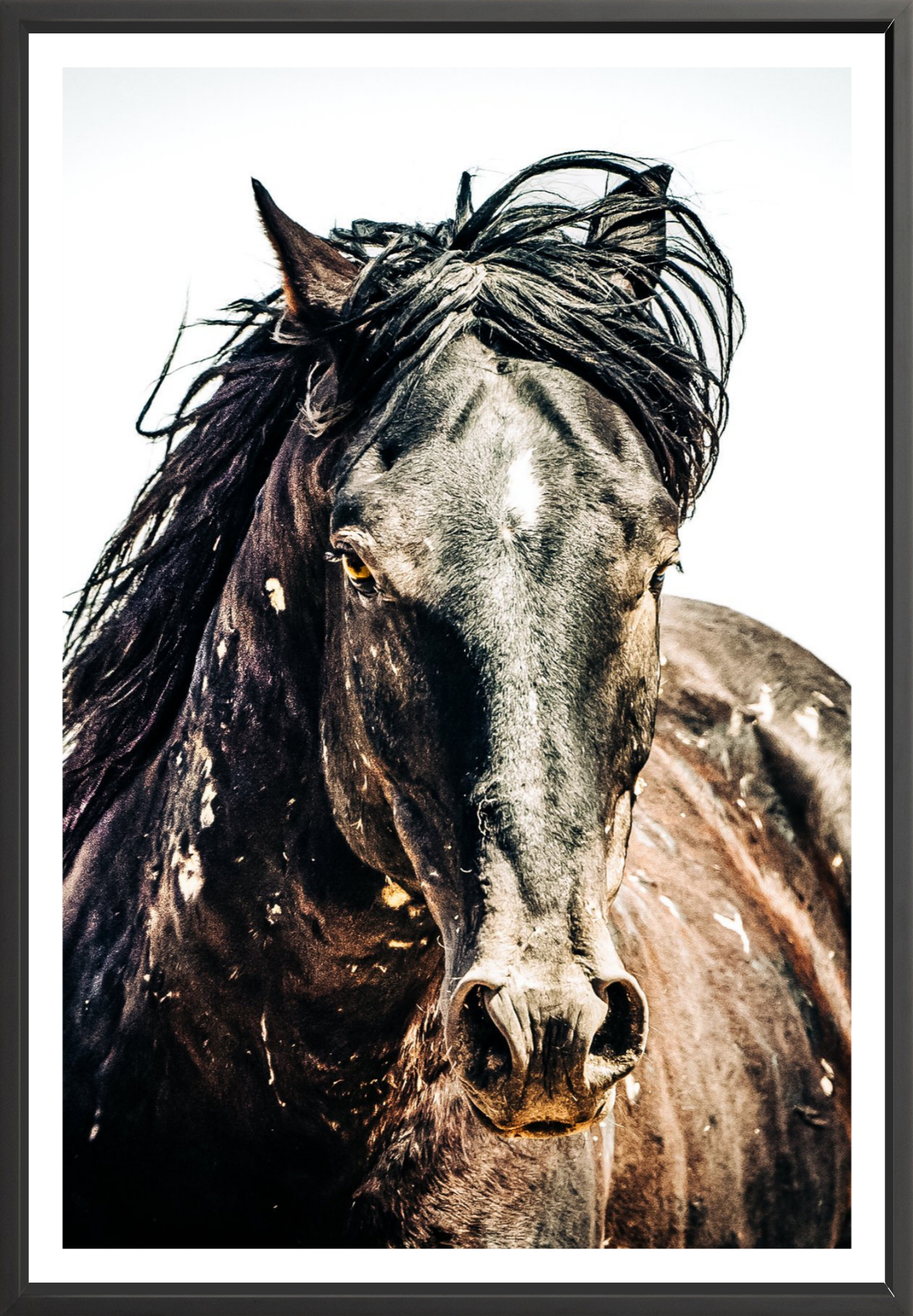 40"x60" / Black / Border