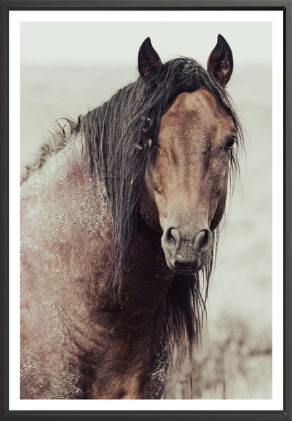 40"x60" / Black / Border