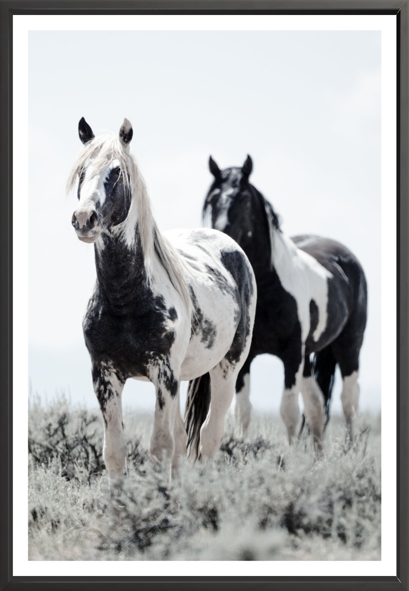 40"x60" / Black / Border
