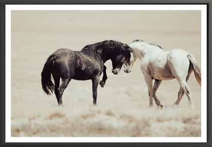 60"x40" / Black / Border