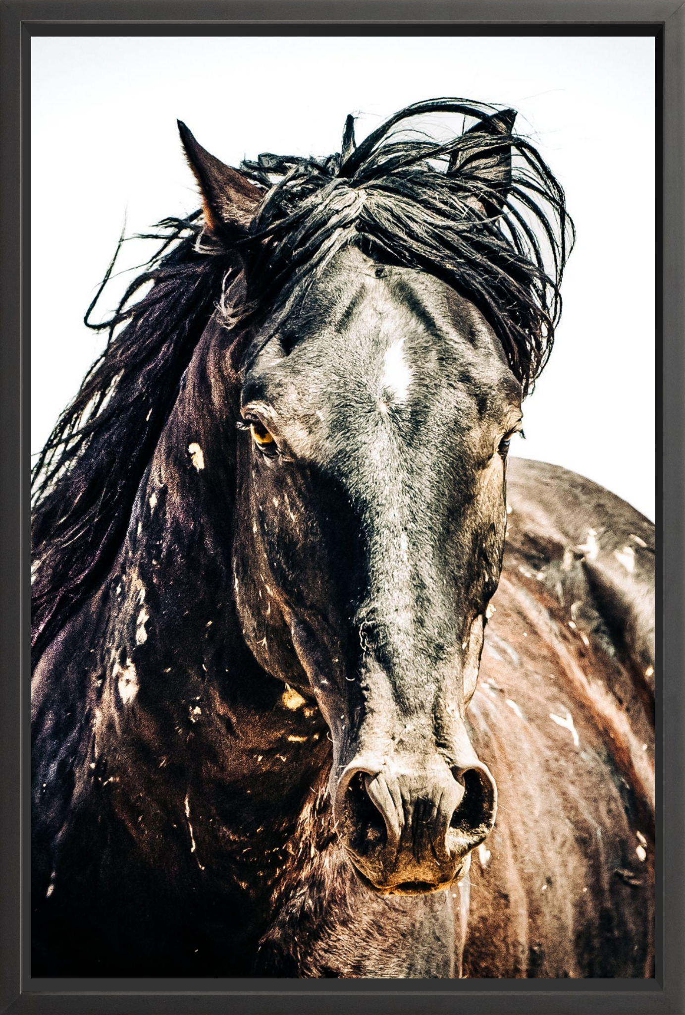 30"x45" / Black / Full Bleed