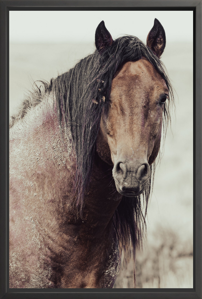 30"x45" / Black / Full Bleed