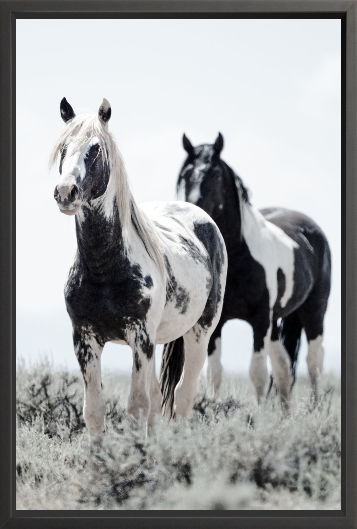 30"x45" / Black / Full Bleed