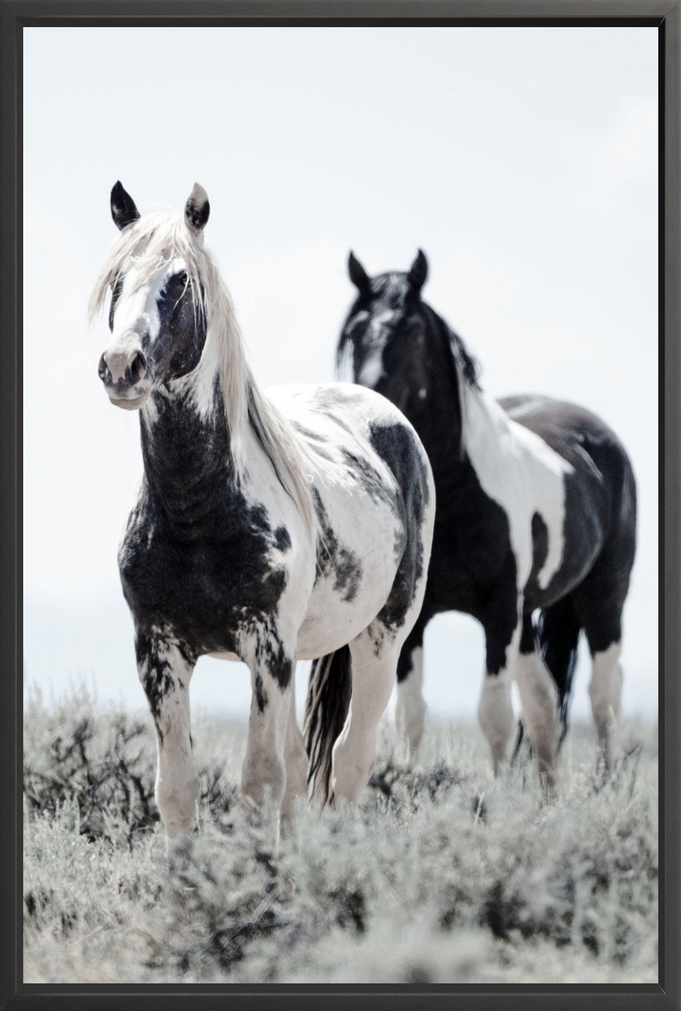 40"x60" / Black / Full Bleed