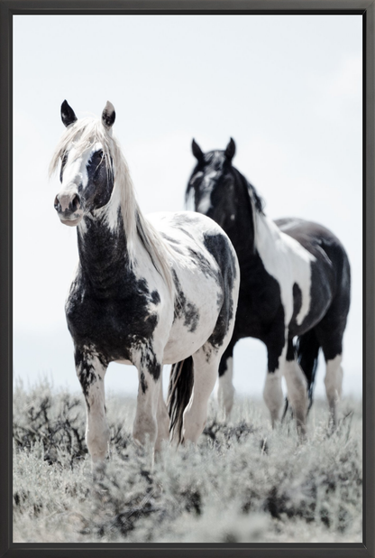 40"x60" / Black / Full Bleed