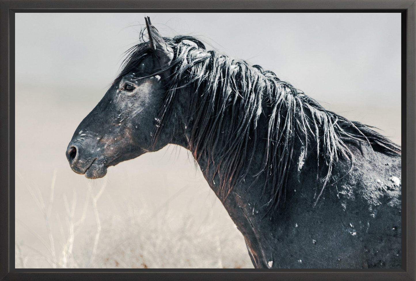 45"x30" / Black / Full Bleed