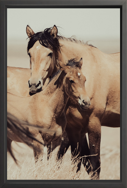 24"x36" / Black / Full Bleed
