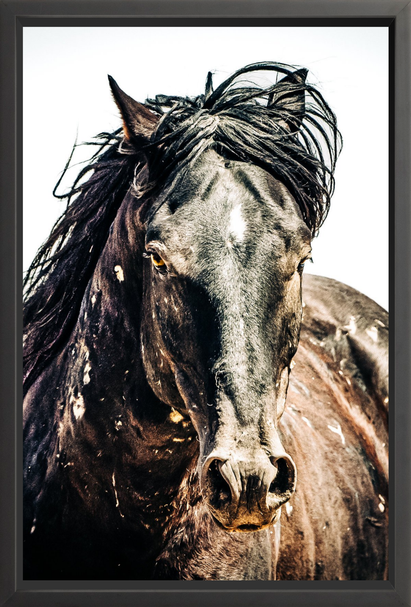 24"x36" / Black / Full Bleed