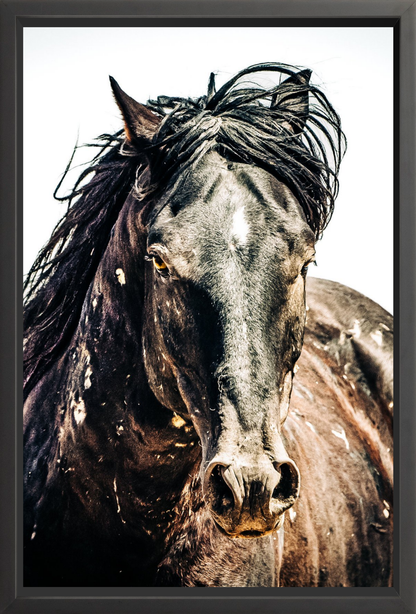 24"x36" / Black / Full Bleed