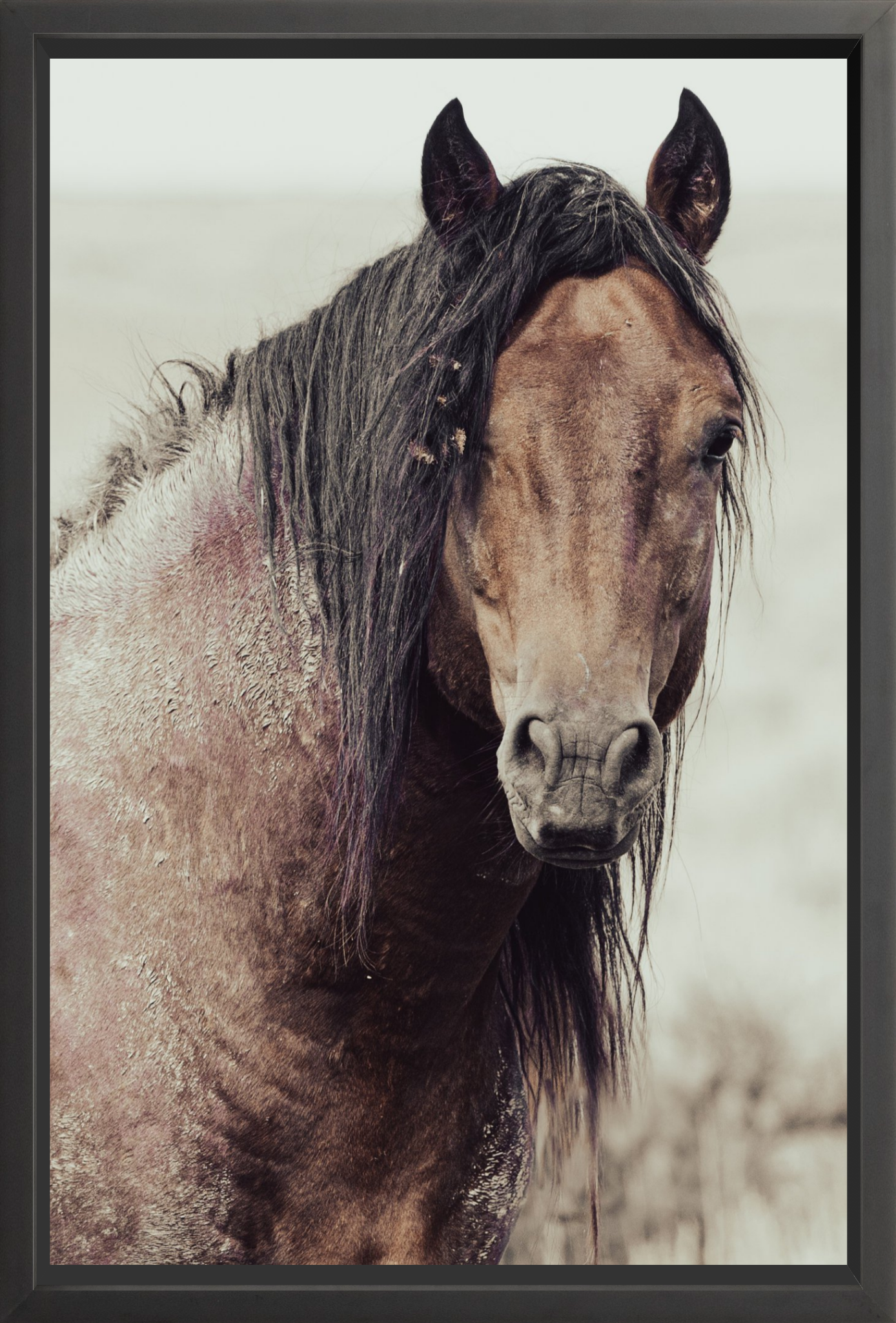 24"x36" / Black / Full Bleed