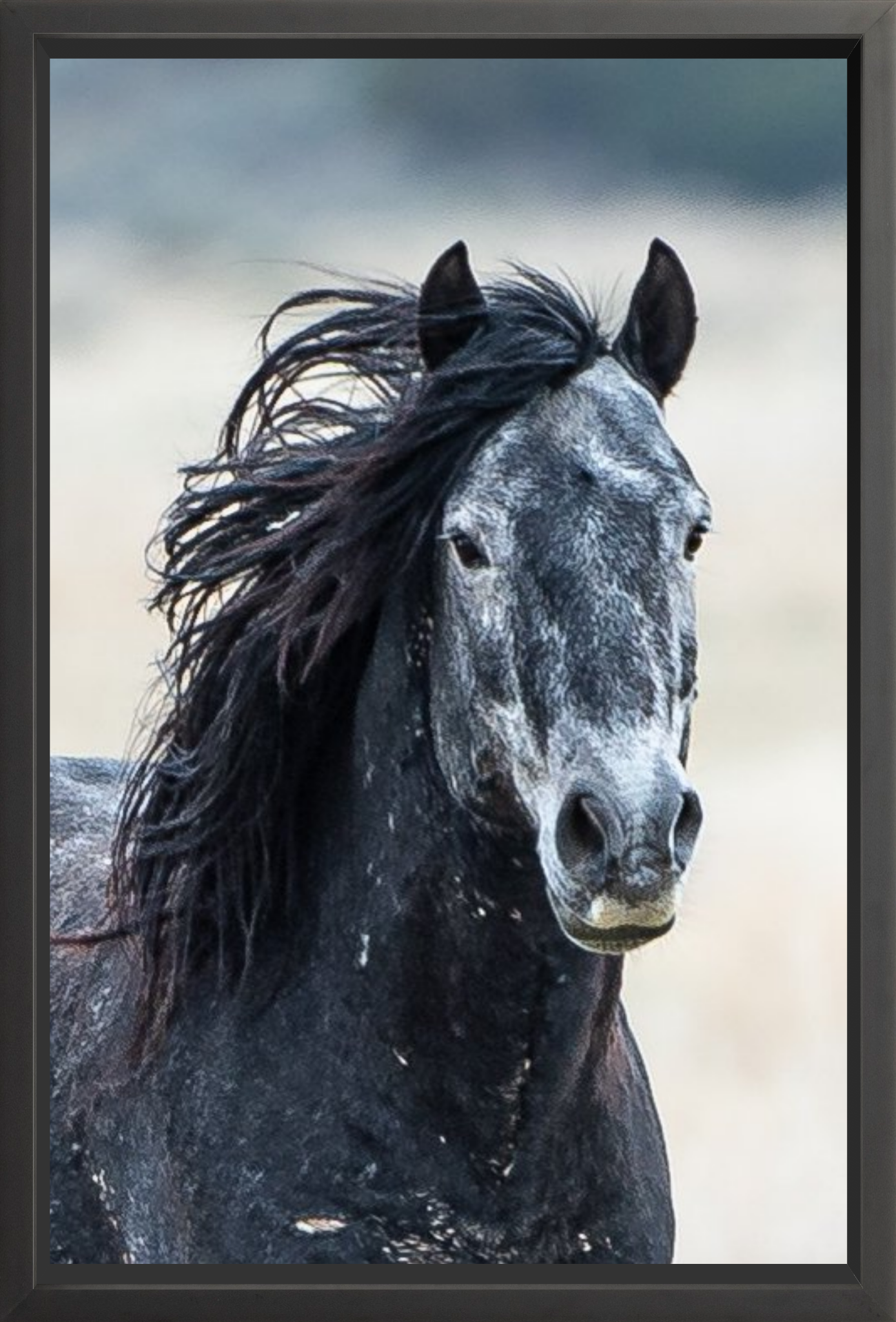24"x36" / Black / Full Bleed