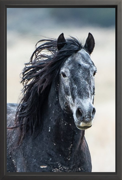 24"x36" / Black / Full Bleed