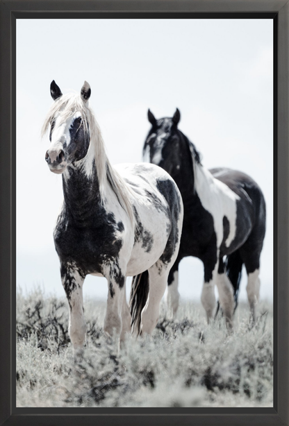 24"x36" / Black / Full Bleed