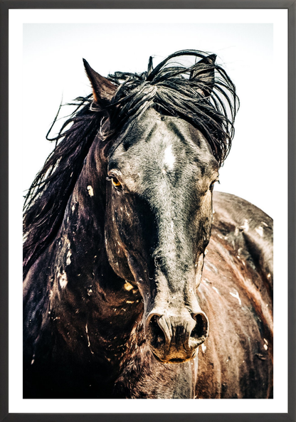 30"x45" / Black / Border