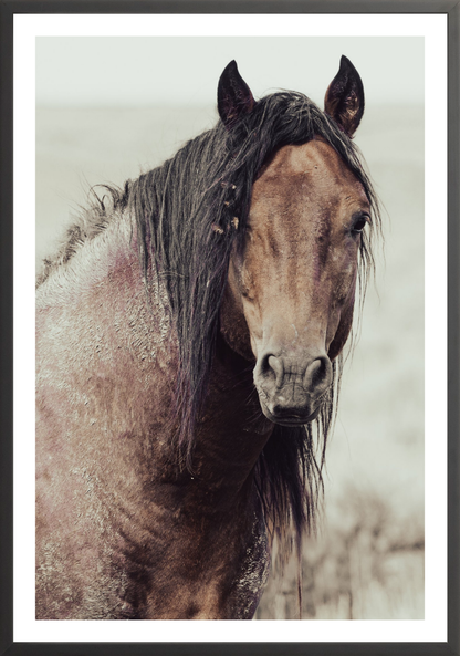 30"x45" / Black / Border