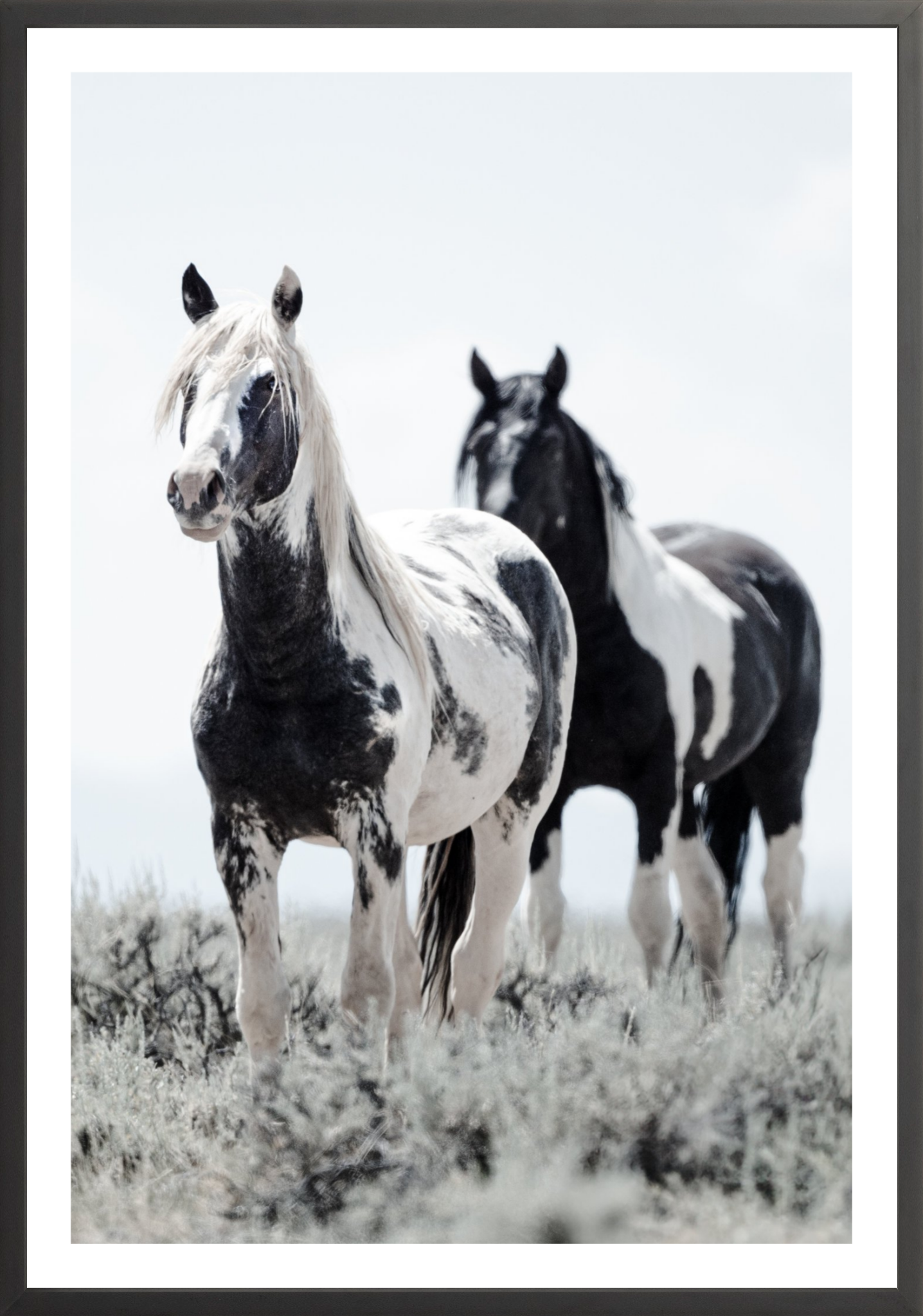 30"x45" / Black / Border