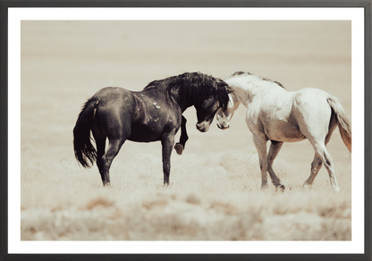 45"x30" / Black / Border