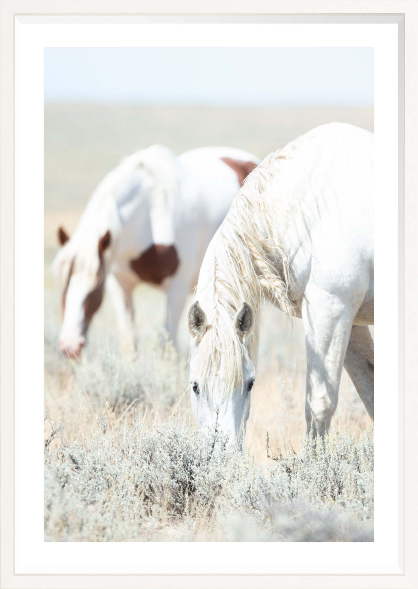24"x36" / White / Border