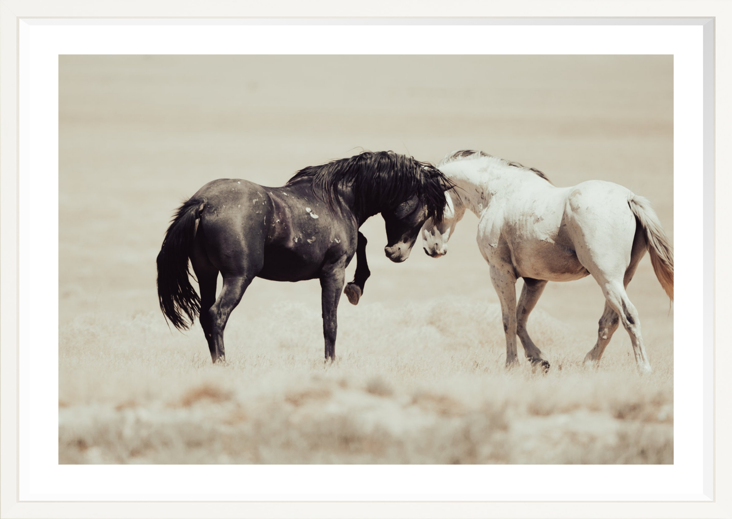 36"x24" / White / Border