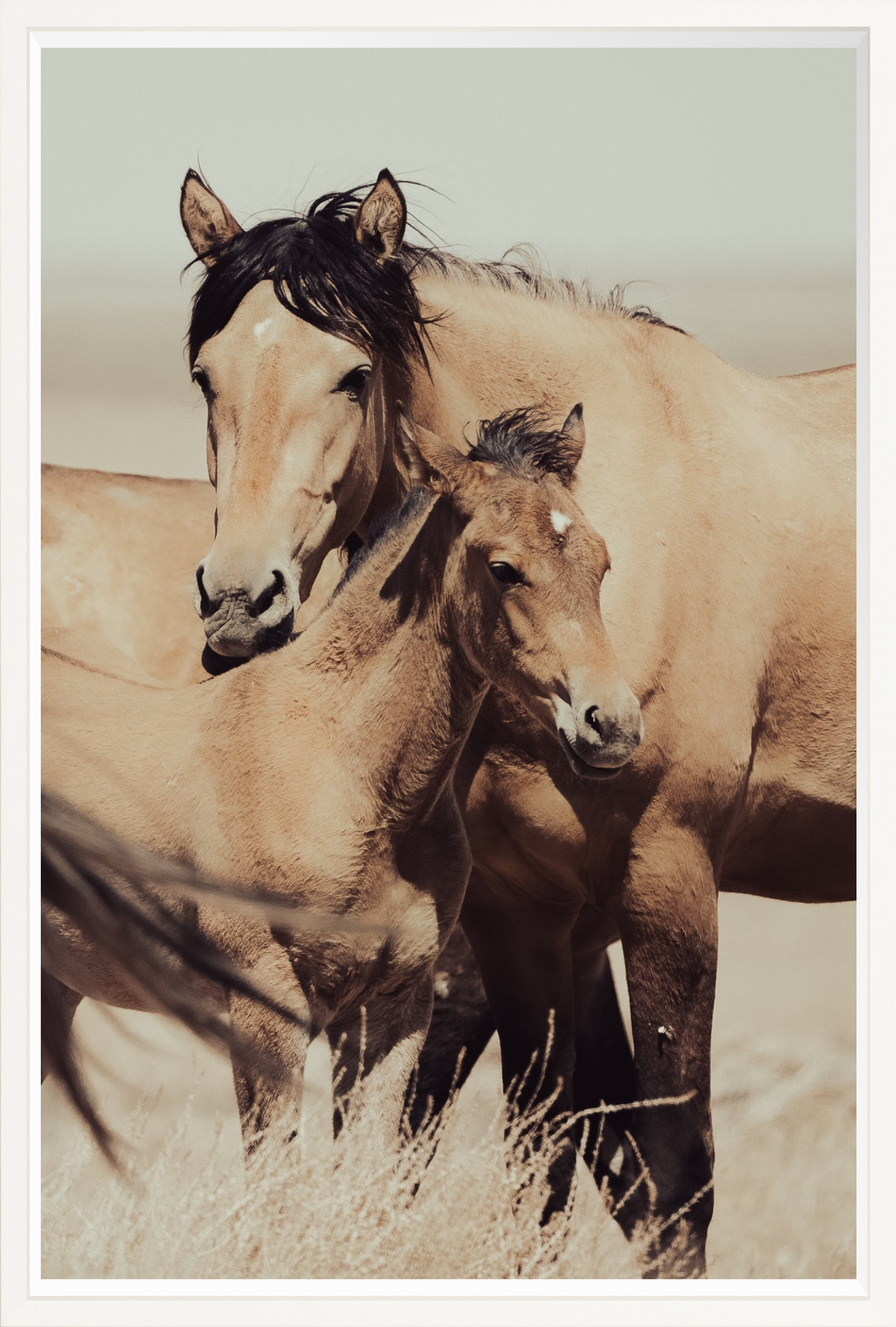 30"x45" / White / Full Bleed