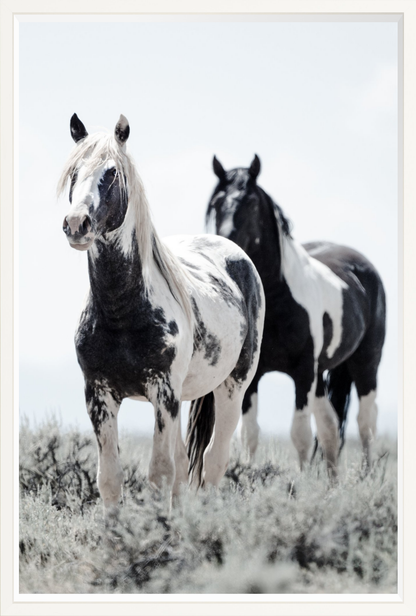 30"x45" / White / Full Bleed